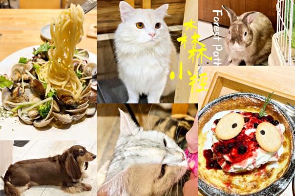 森林小徑文心店對寵物超友善