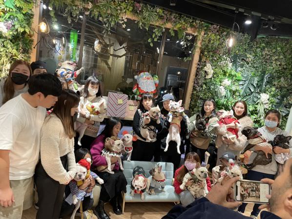 森林小徑文心店對寵物超友善